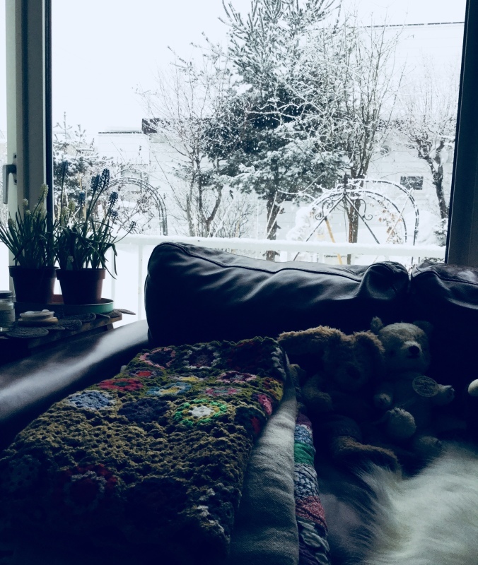 d0320463_16021661.jpeg
