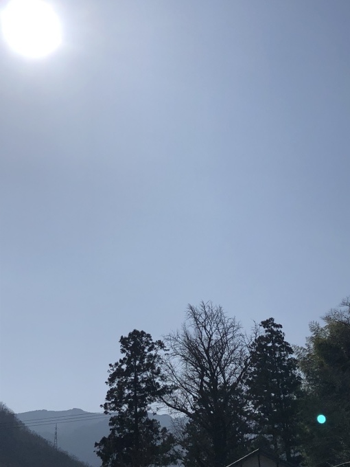e0151266_10495380.jpeg