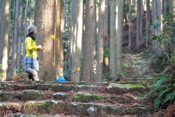 熊野古道中辺路「大雲取越、小雲取越」　（2018年2月19日～21日）_c0359075_21100442.jpg