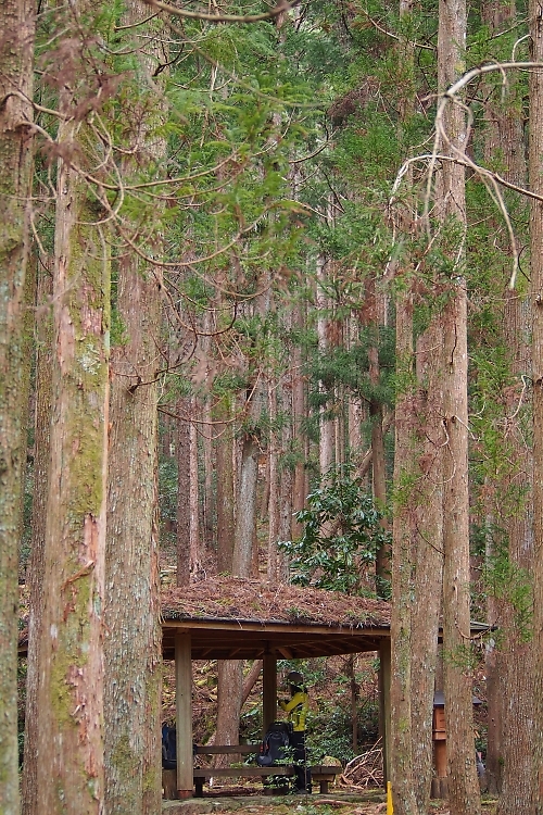 熊野古道中辺路「大雲取越、小雲取越」　（2018年2月19日～21日）_c0359075_21101608.jpg