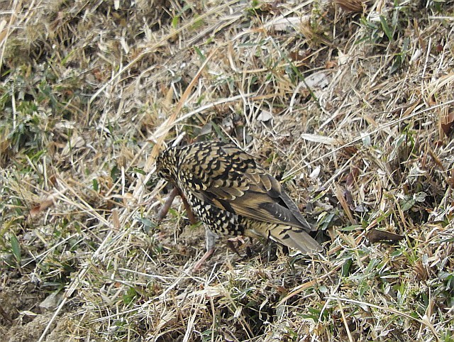 f0378979_19064643.jpg