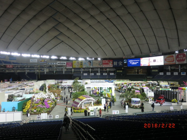 a0185783_15184026.jpg