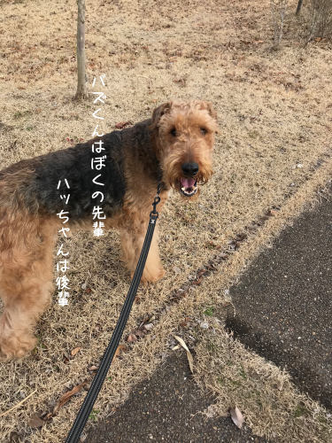 a0216583_10530668.png
