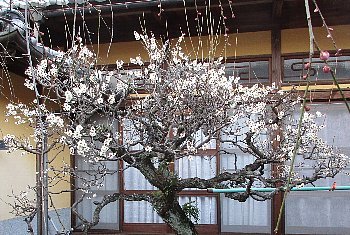 f0003283_18335071.jpg