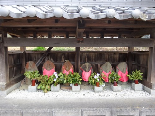 ほとんど病気 狐狸夢中