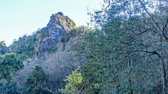 e0176993_07432936.jpg