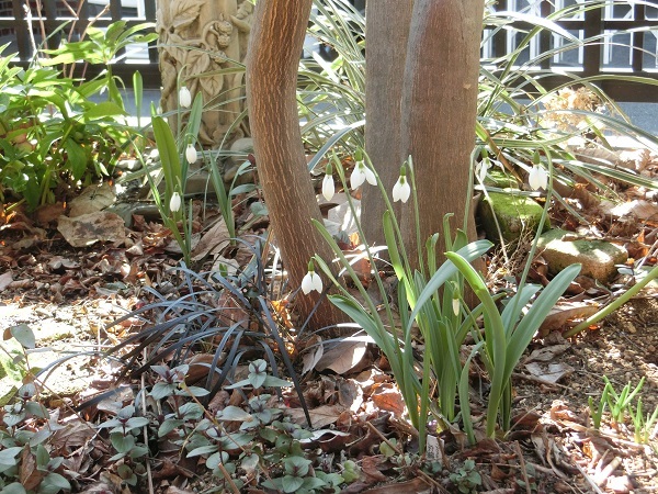e0234004_20084212.jpg