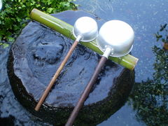 d0009105_3344555.png