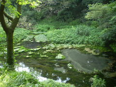d0009105_334589.png