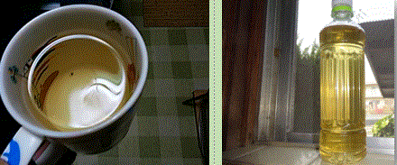 f0231709_23045618.gif