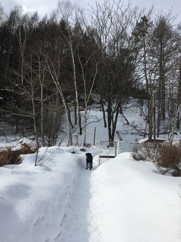 c0114121_0173110.jpg