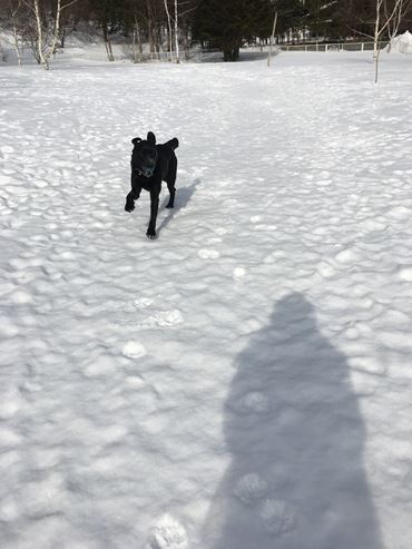 c0114121_0395074.jpg