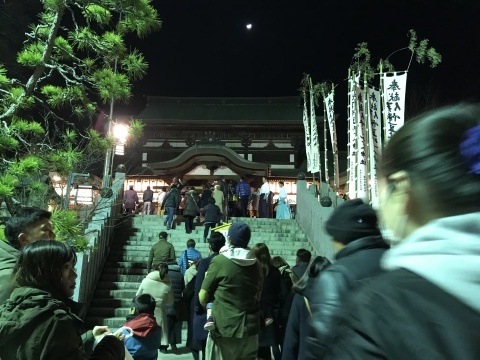 お椿さん & 週末入荷情報_f0191324_08361371.jpg