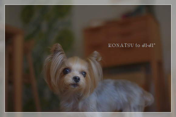 d0179828_11112014.png