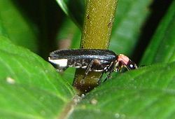 d0352628_1435136.jpg