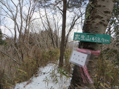 d0171229_08532829.jpg