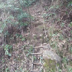 c0077338_10075998.jpg