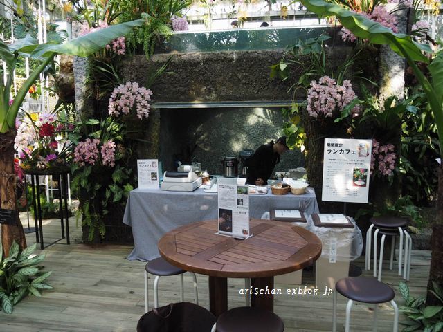 牧野植物園で蘭展 蘭カフェ アリスのトリップ