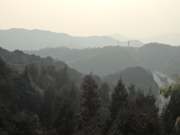 a0054240_20565834.jpg