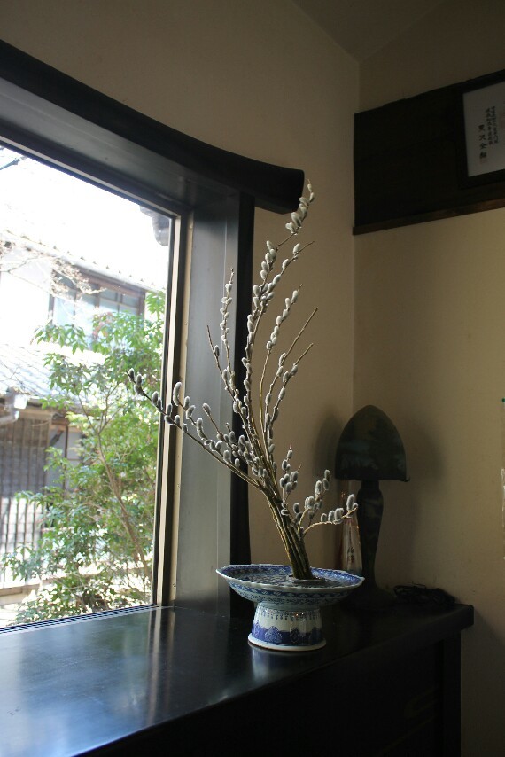 生花 猫柳_c0197642_12311299.jpg