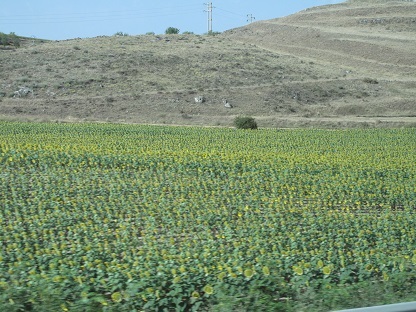 a0094449_11533764.jpg