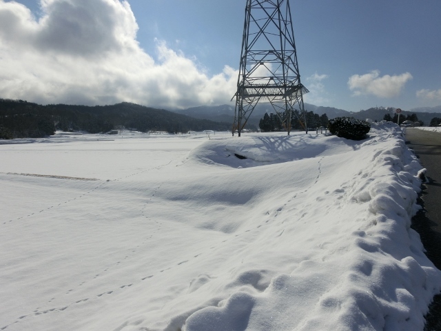 雪上の足跡_a0185551_10191202.jpg