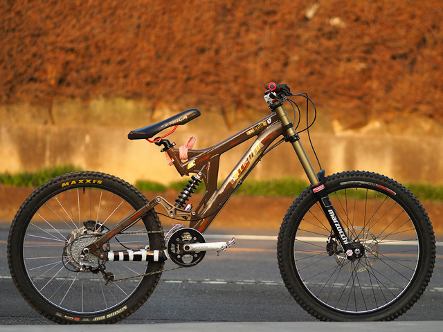 SPECIALIZED BIG HIT XXV_b0049658_17303712.jpg
