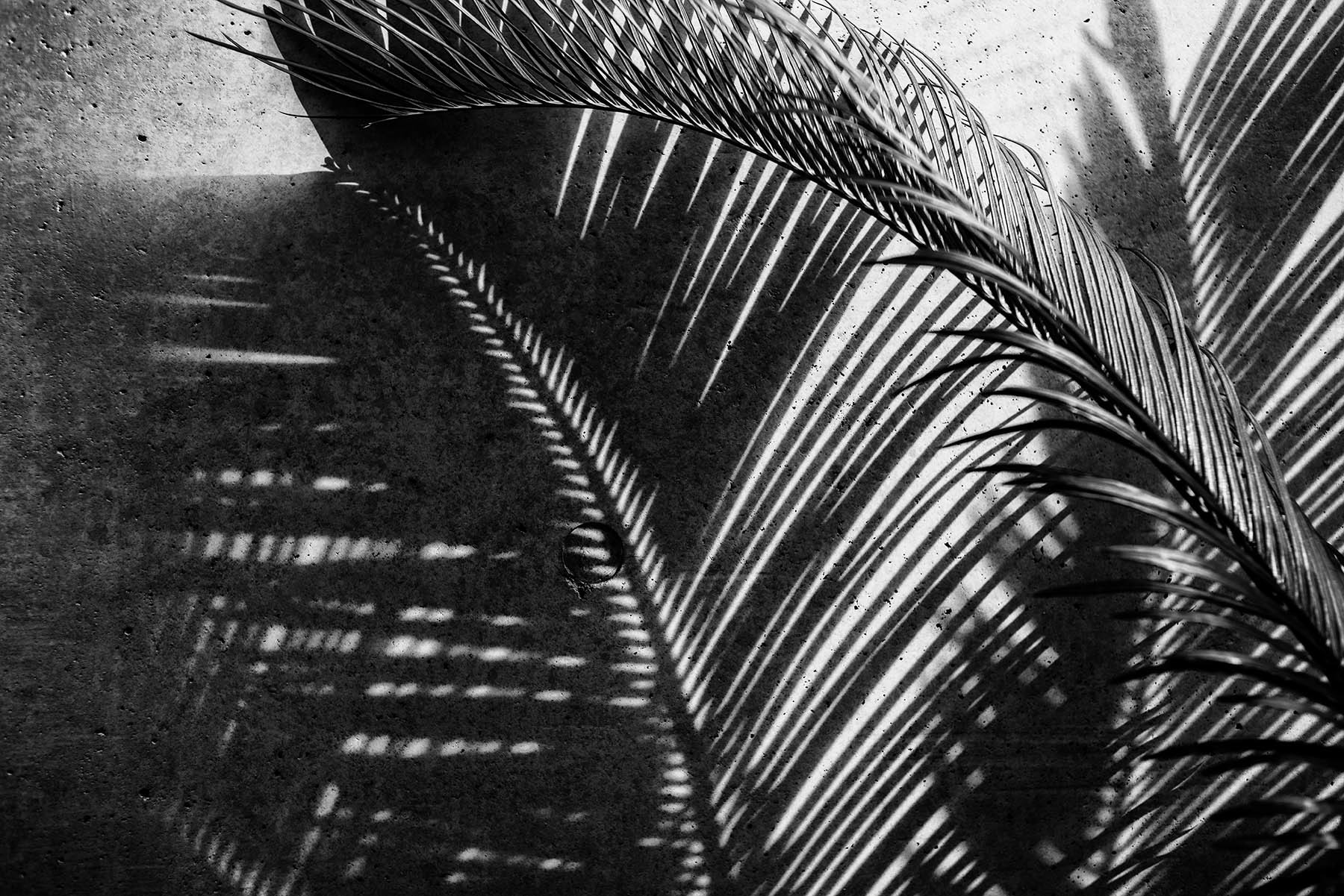 c0028861_13113507.jpg