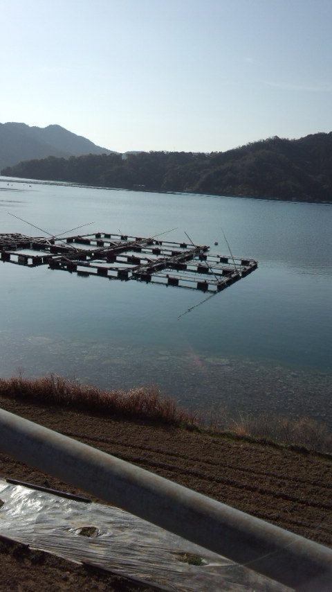 b0018469_1503959.jpg