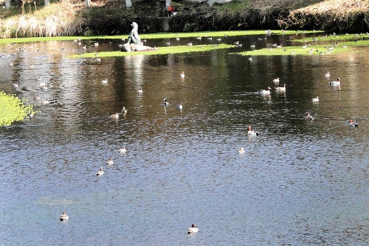 c0248473_10385258.jpg