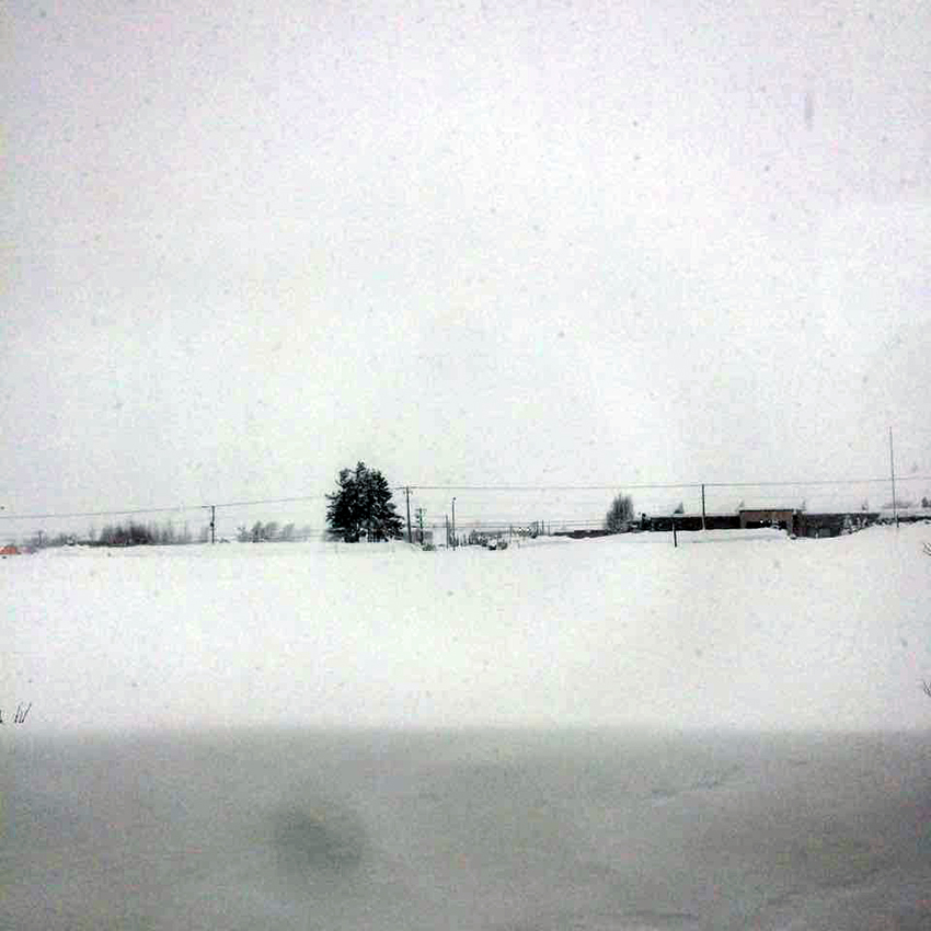 b0321680_11480059.jpg