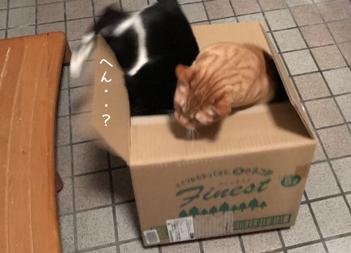 a0216583_11502600.png