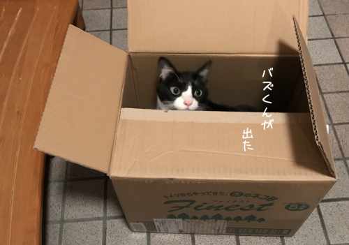 a0216583_11503372.png