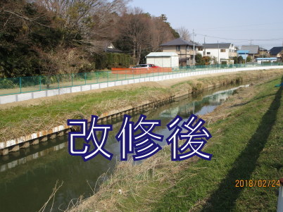 鷲宮地区「青毛堀川」堤防改修　Ｈ３０年２月２４日（土）_d0084783_18190919.jpg