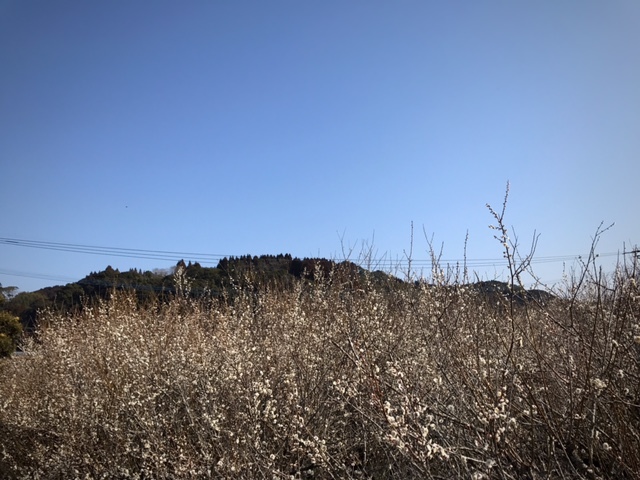 c0184491_22184854.jpg