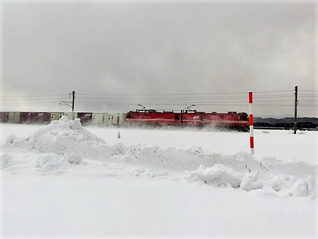 藤田八束の鉄道写真＠雪の青森、豪雪と貨物列車「レッドサンダー」  _d0181492_18162233.jpg