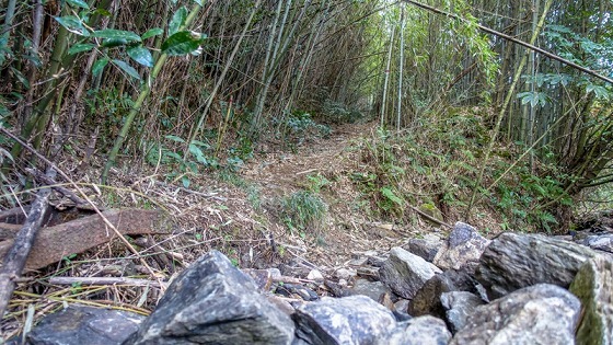 e0176993_07452148.jpg