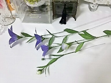 f0303594_17512736.jpg