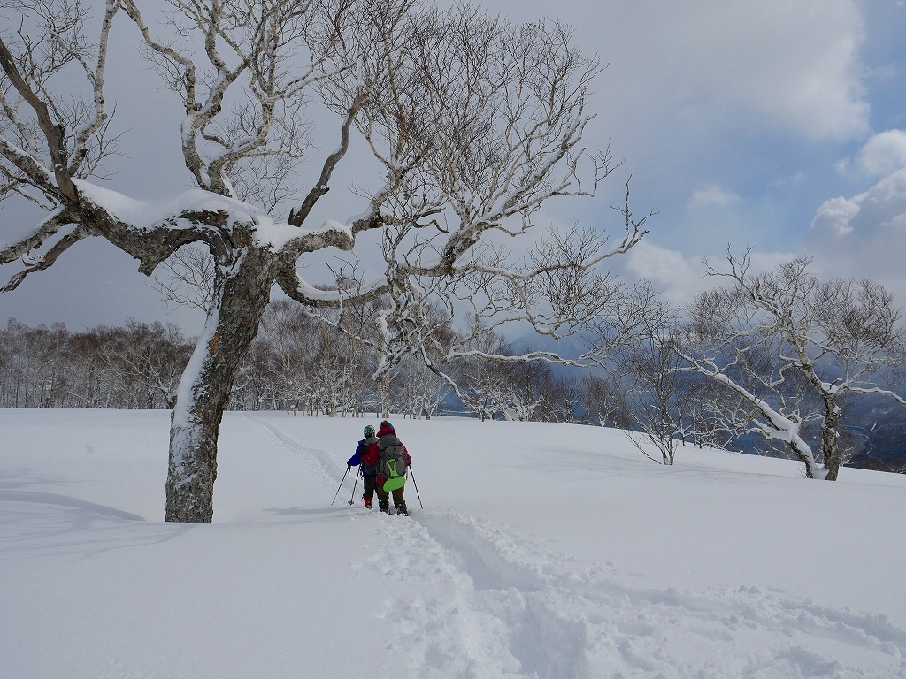  鳴尾山、2018.2.22_f0138096_11543520.jpg