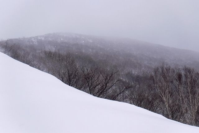 e0137200_19101992.jpg
