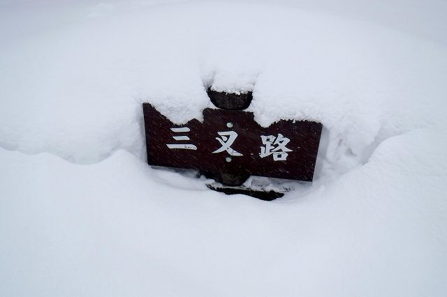 e0137200_1992896.jpg