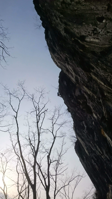 b0037220_23271141.png