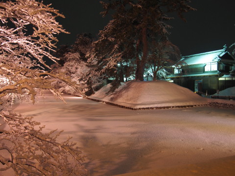冬に咲くさくらライトアップ:弘前公園*2018.02.24_b0147224_15542681.jpg