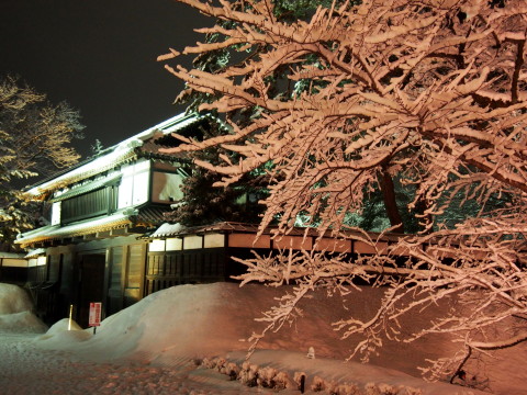 冬に咲くさくらライトアップ:弘前公園*2018.02.24_b0147224_1558899.jpg