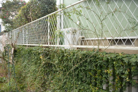 e0335926_21054903.jpg