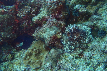 18.2.25 春を感じよう!_b0100730_19075944.jpg