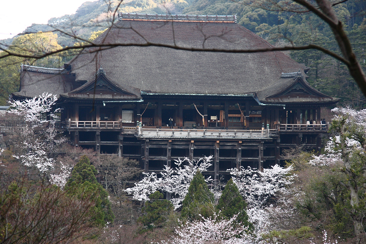 京都回顧 桜の清水寺（後編）_b0169330_13501362.jpg