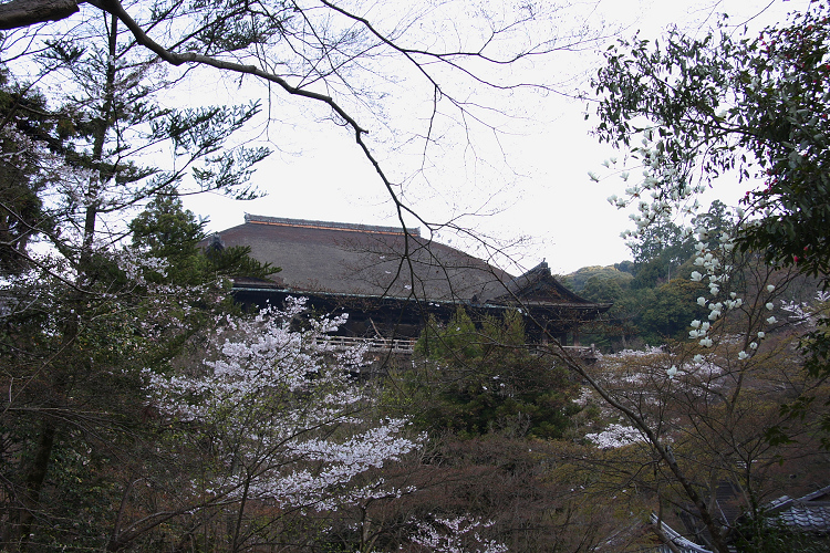 京都回顧 桜の清水寺（後編）_b0169330_14302065.jpg