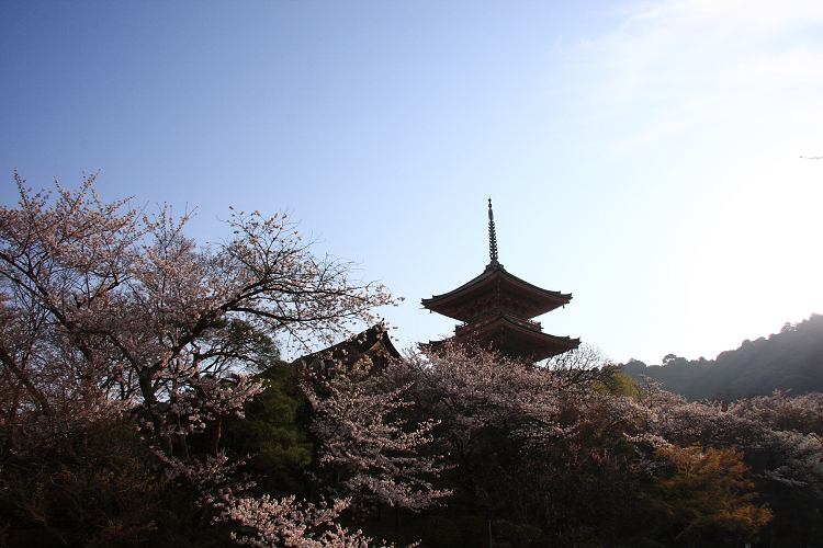 京都回顧 桜の清水寺（後編）_b0169330_14564227.jpg