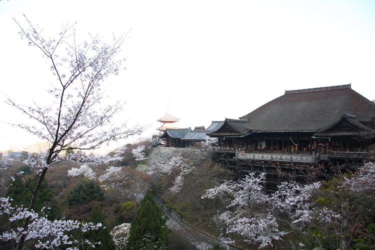 京都回顧 桜の清水寺（後編）_b0169330_8454920.jpg